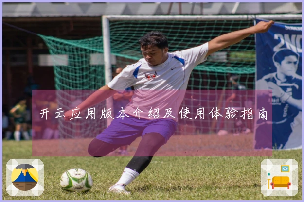 开云应用版本介绍及使用体验指南