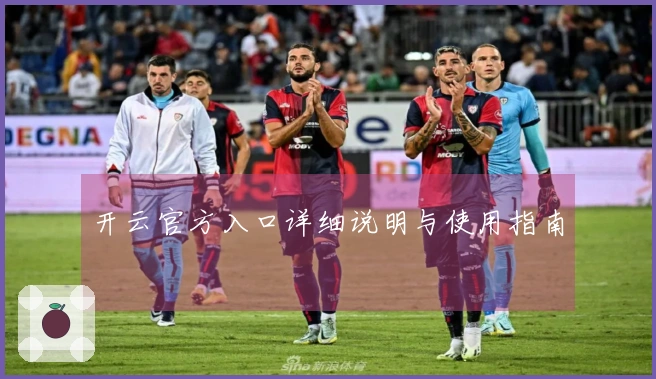 开云官方入口详细说明与使用指南